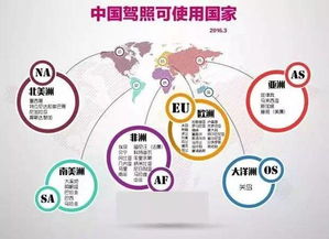 厉害了word中国驾照 约上好友，开启全球自驾之旅！