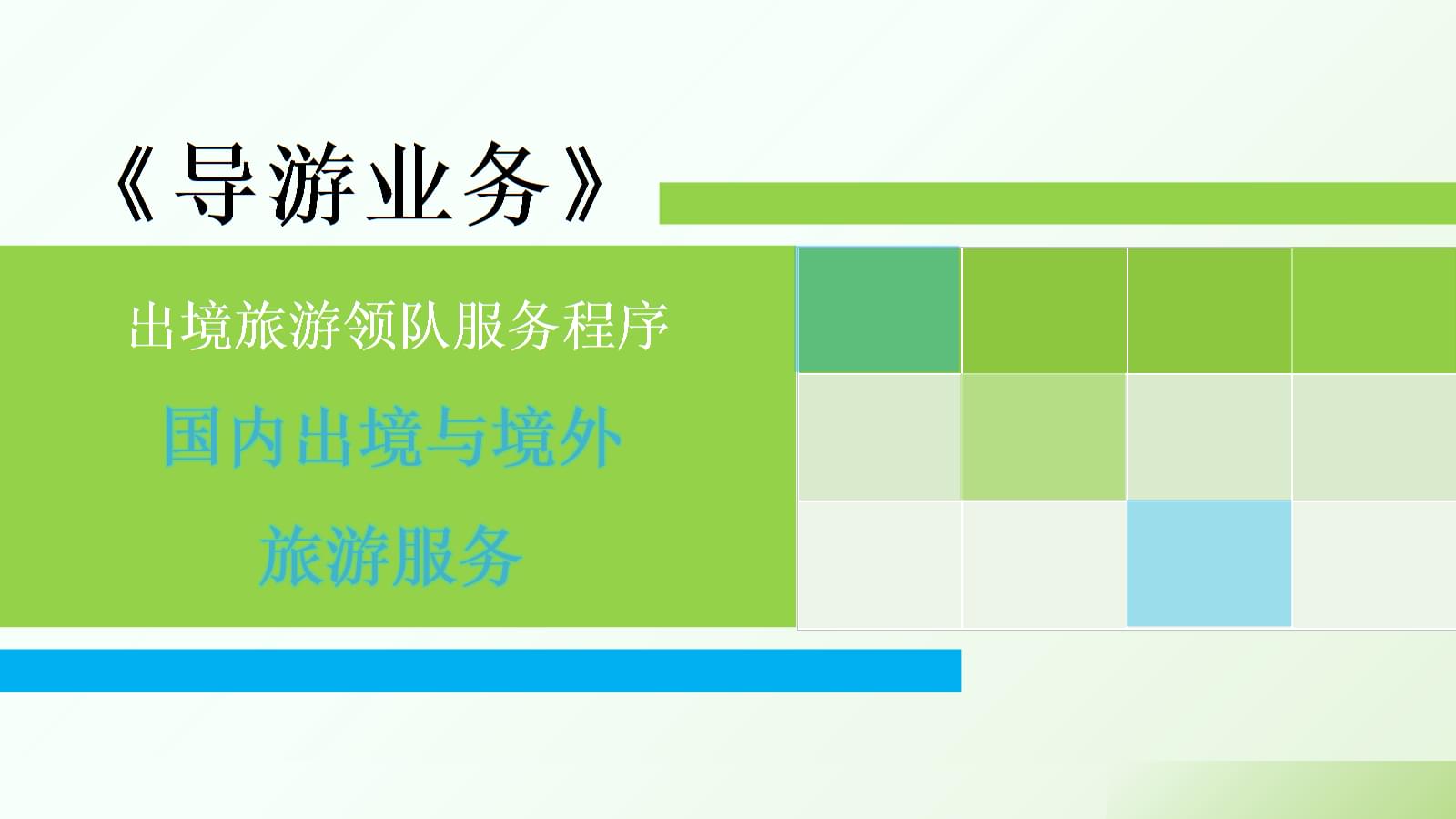 导游业务精讲 国内、出境与境外旅游服务